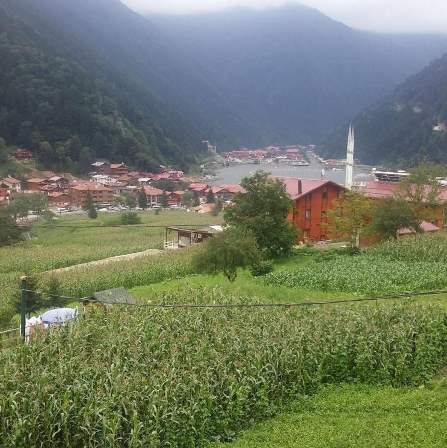 Zeren Bungalov Aparthotel Uzungöl Eksteriør bilde