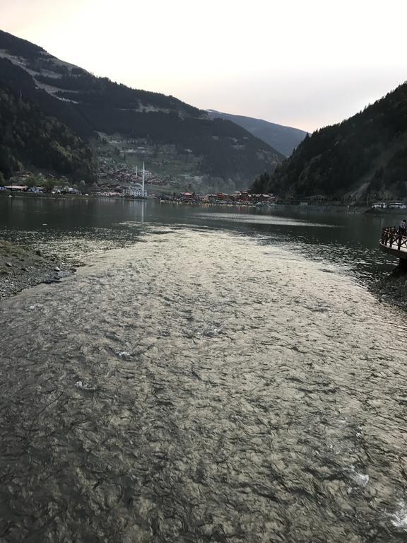 Zeren Apart Bungalov Uzungöl Eksteriør bilde