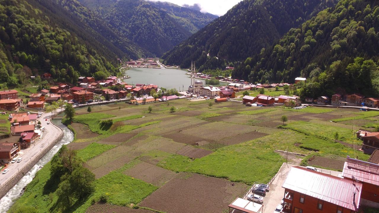 Zeren Apart Bungalov Uzungöl Eksteriør bilde