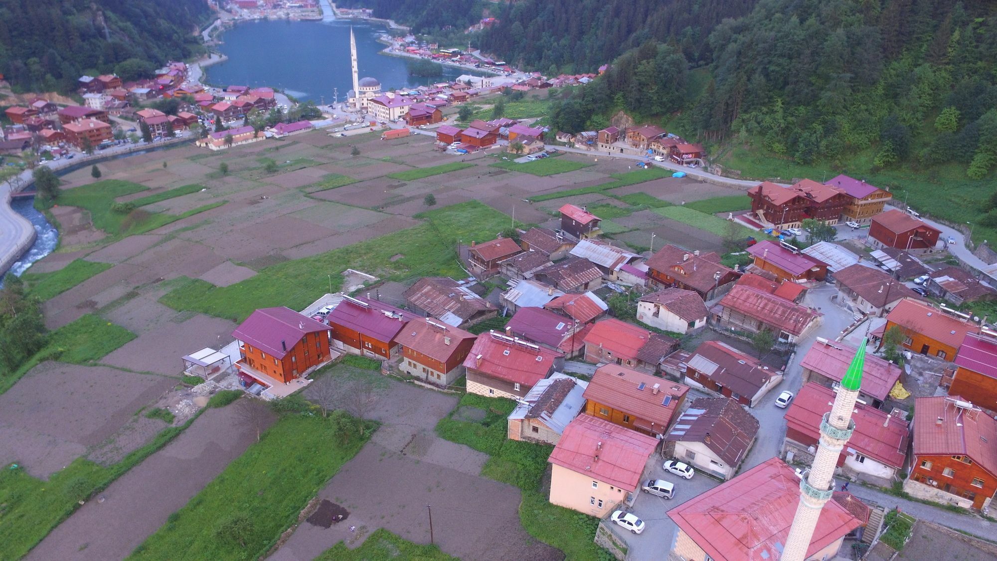 Zeren Apart Bungalov Uzungöl Eksteriør bilde